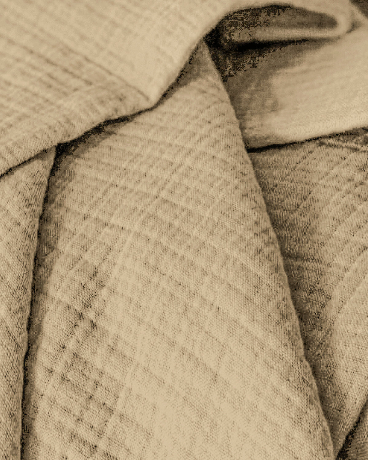 Ancient Scroll
