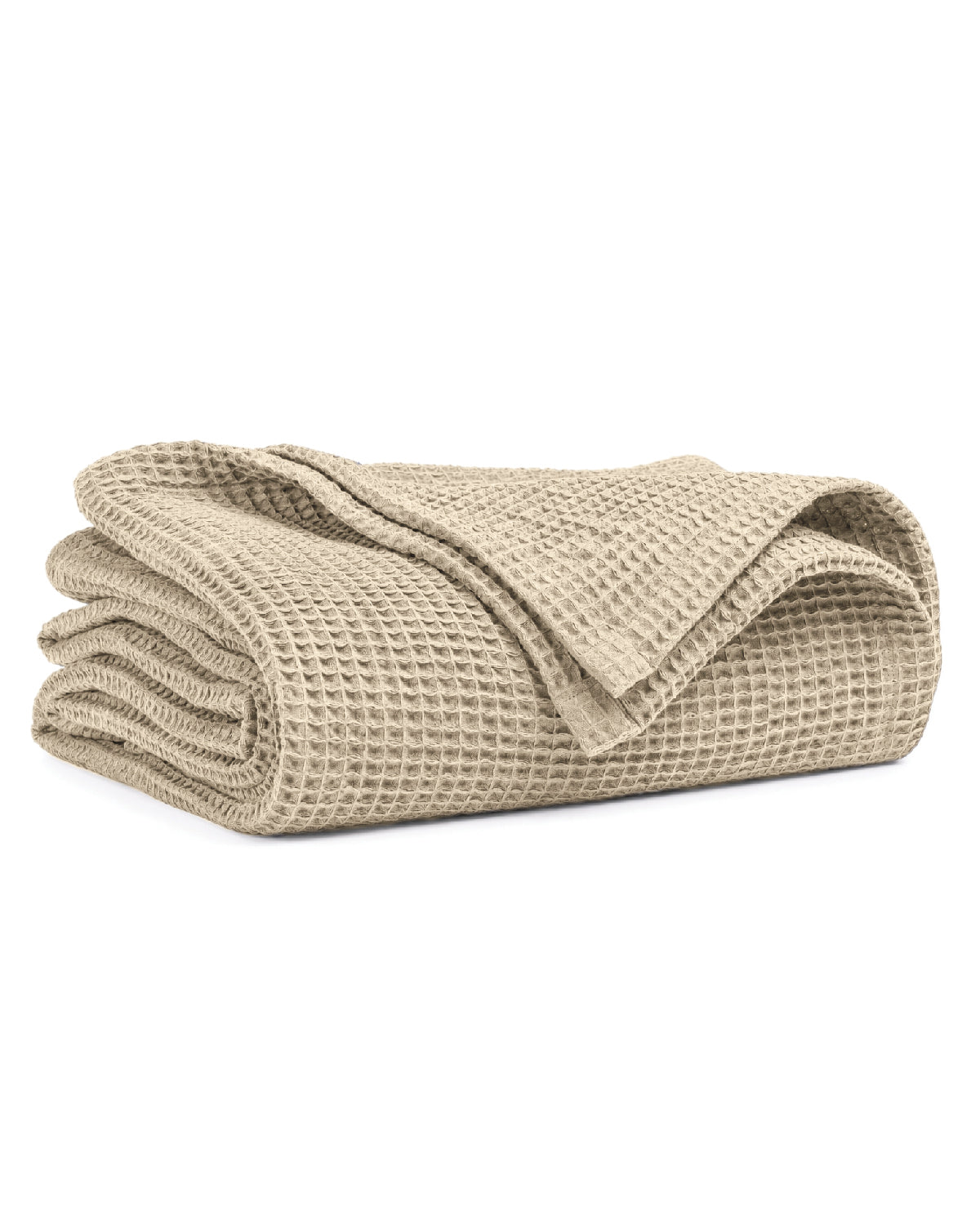 Ancient Scroll