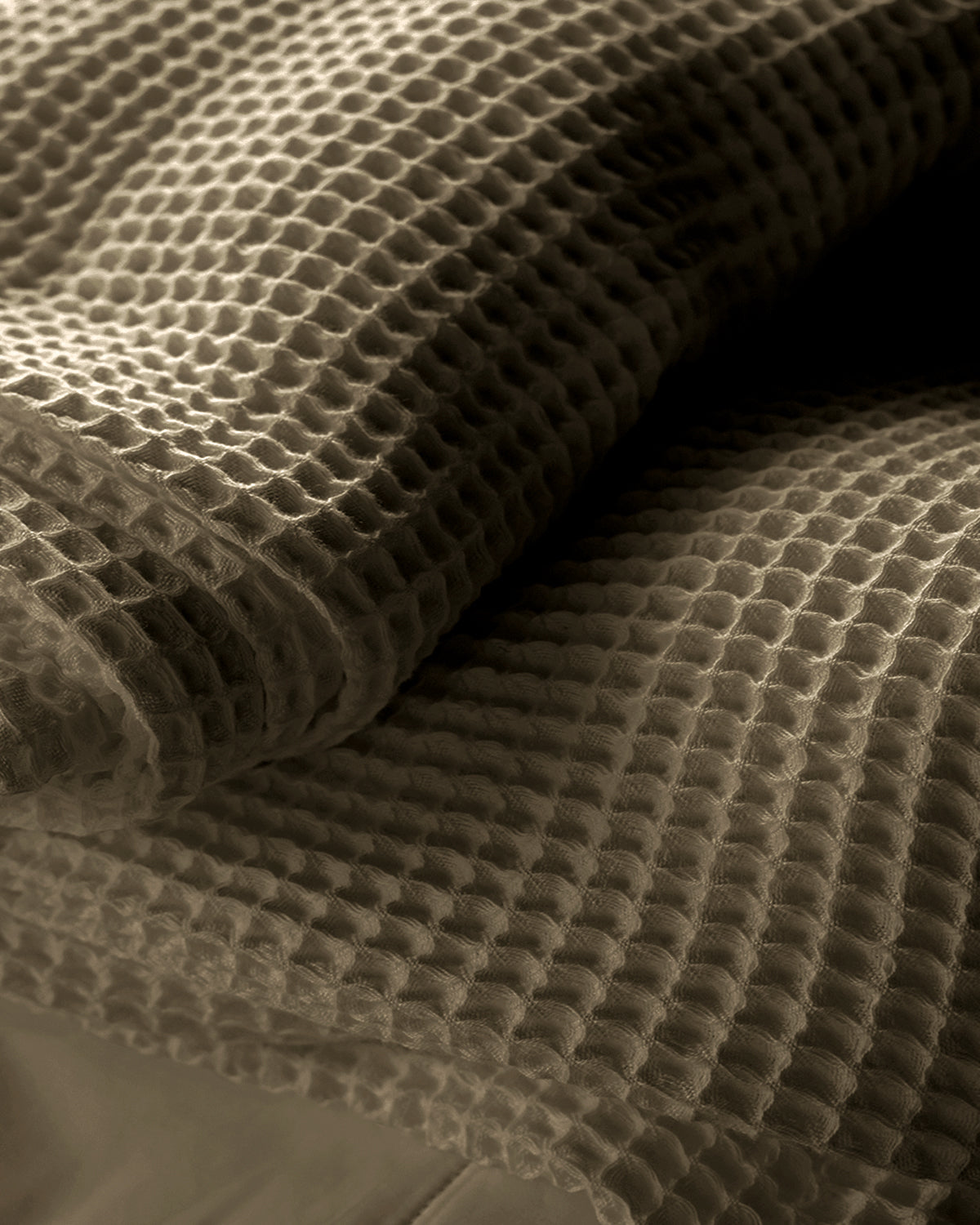 Ancient Scroll