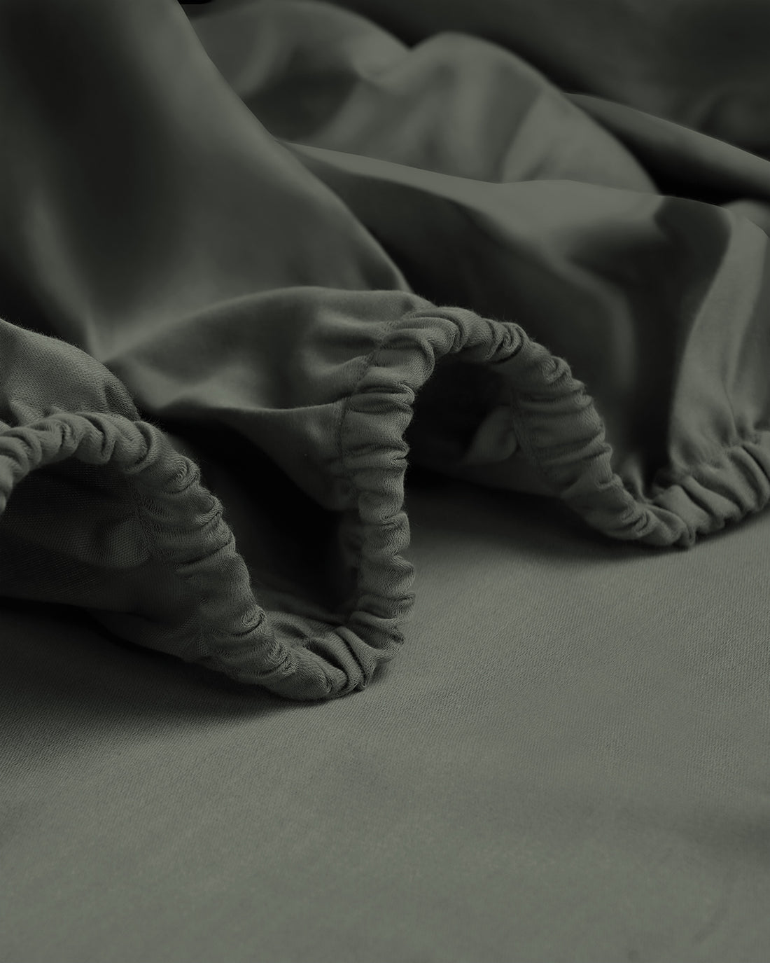 Dried Sage|dried-sage