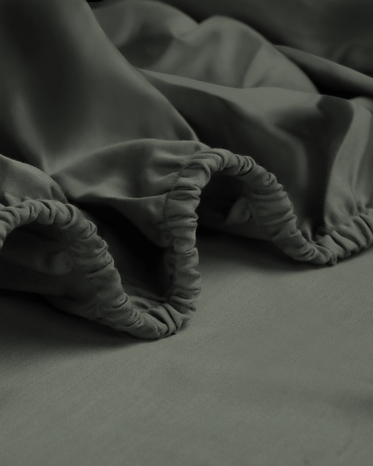 Dried Sage|dried-sage