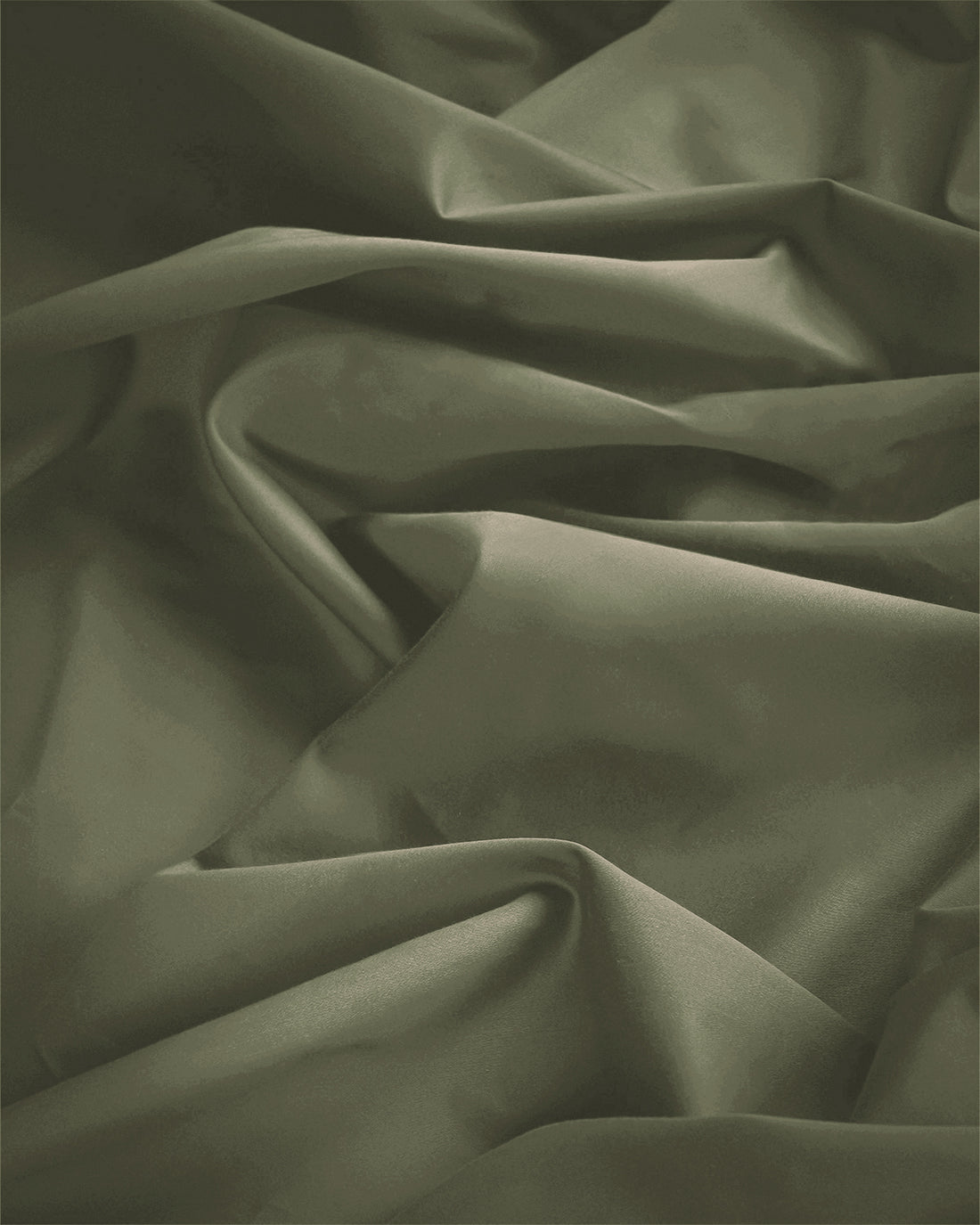 Dried Sage|dried-sage