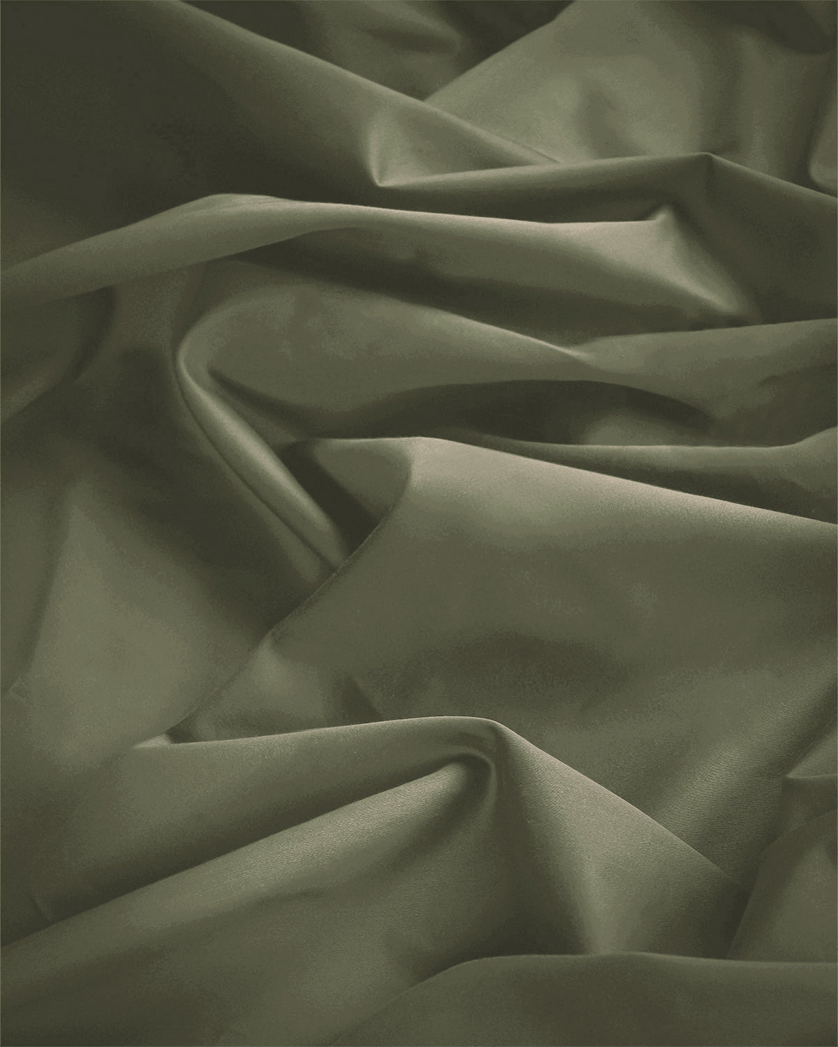 Dried Sage|dried-sage