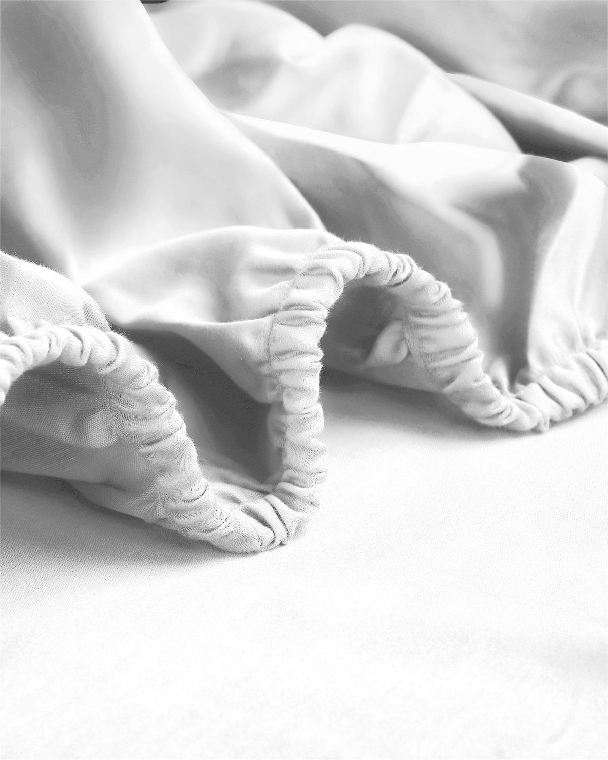 White|white-1