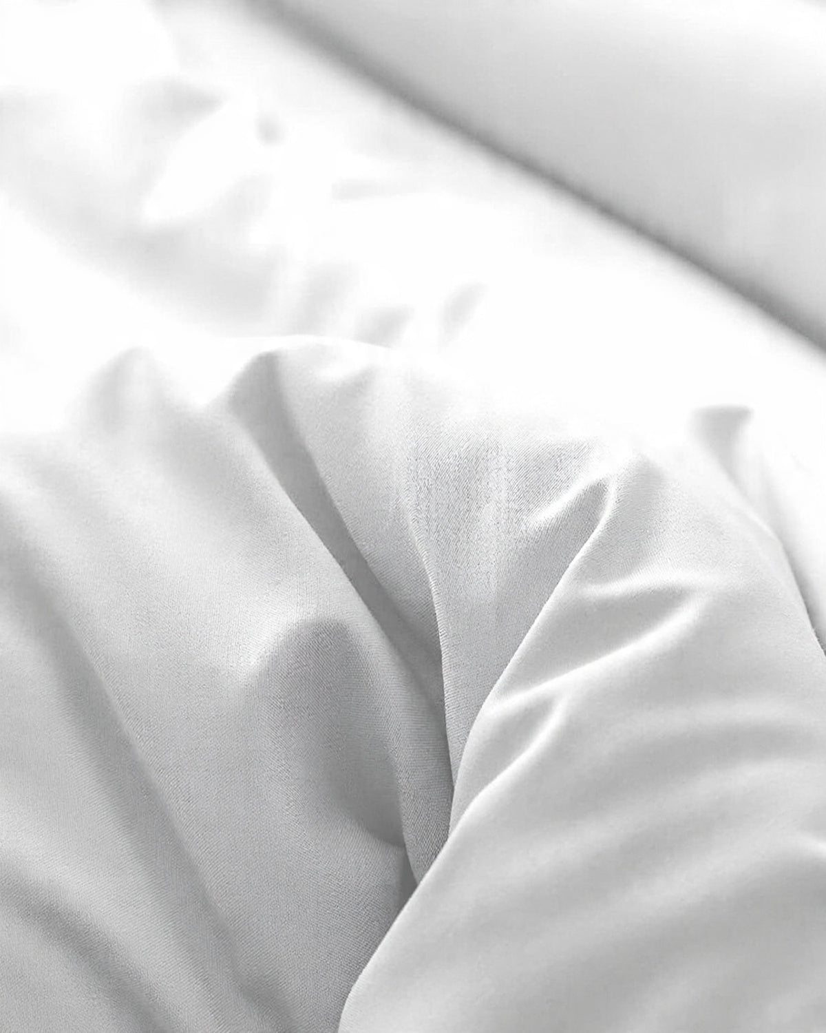 White|white-1