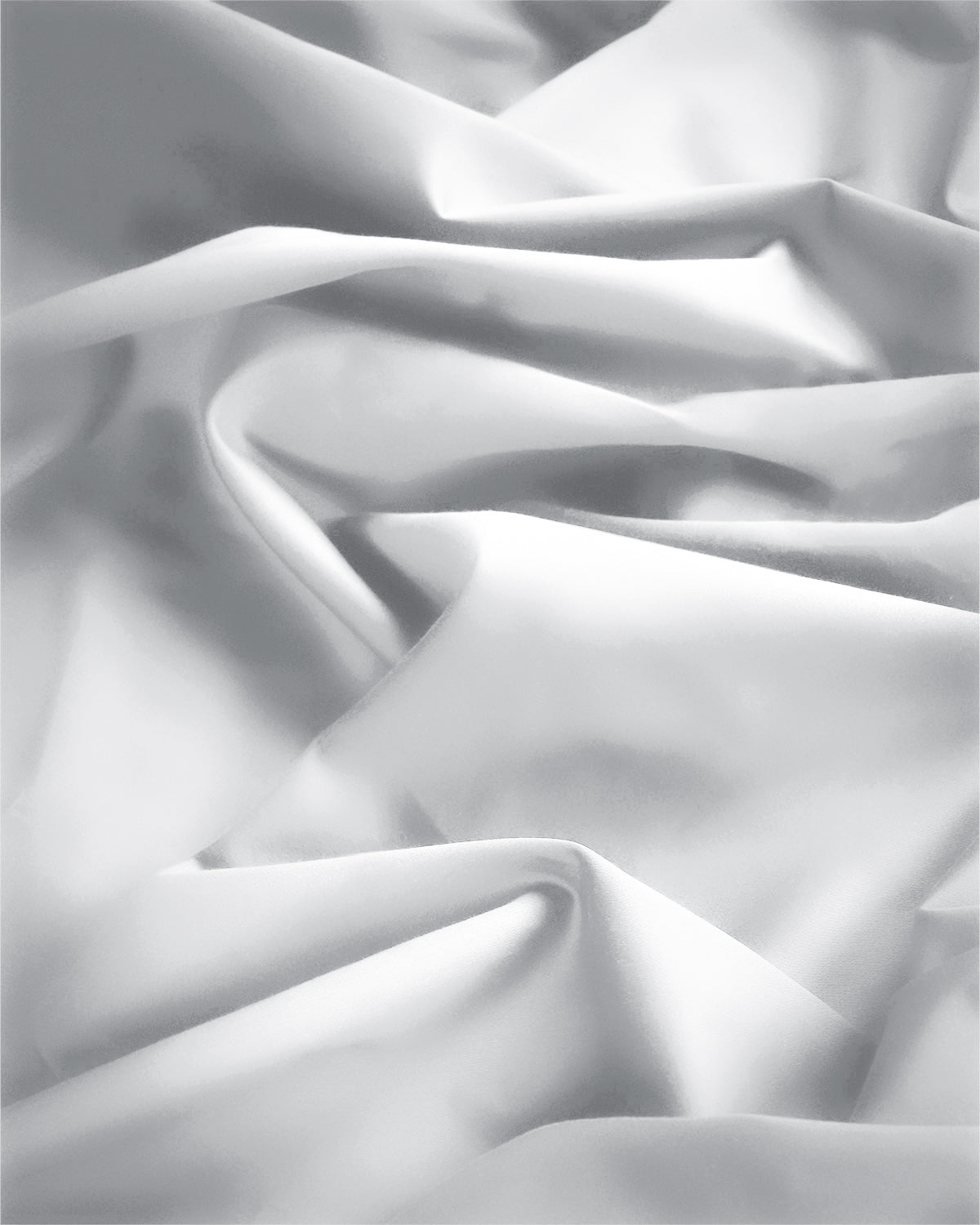 White|white-1